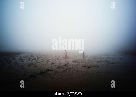 Dense sea mist on a summer day at Cayton bay in North Yorkshire with people on the beach at low tide Stock Photo