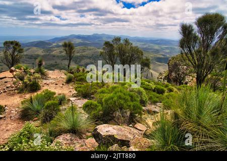 View to the north over the Flinders Range from Dutchman’s Stern, near Quorn, South Australia. Rocky surface, casuarinas and bushes in the foreground Stock Photo