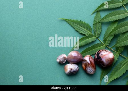 Beautiful round stones of botswana agate with a green branch on a green background. Healing crystals. Flat lay, top view, copy space. Stock Photo