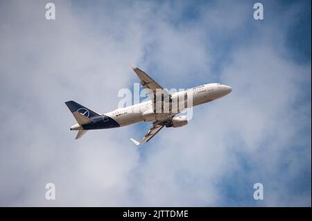 30.08.2022, Berlin, Germany, Europe - A Lufthansa Airbus A320-200 passenger aircraft takes off from Berlin Brandenburg Airport BER. Stock Photo