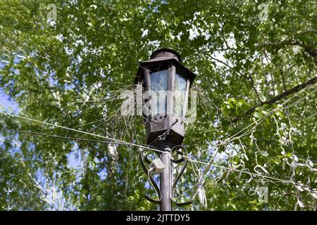 Bird nest in an old street lantern against the background of green trees. Stock Photo