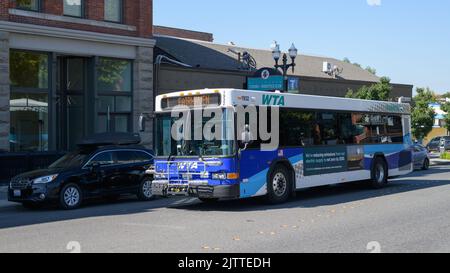 Bellingham, WA, USA - August 30, 2022; Whatcom Transit Authority Gillig bus on local service to Fairhaven district of Bellingham Stock Photo