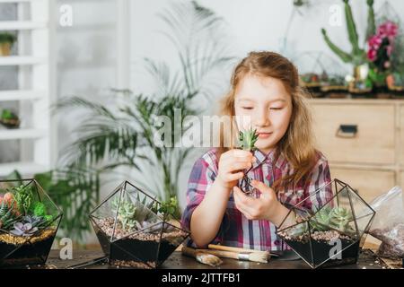 diy florarium home gardening hobby succulents Stock Photo