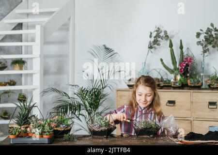 diy florarium gardening hobby girl succulents Stock Photo