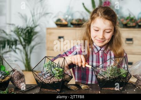 diy florarium home gardening class girl succulents Stock Photo