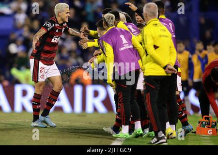31st August 2022. José Amalfitani Stadium, Liniers, Buenos Aires, Argentina; Pedro of Flamengo, celebrates his goal with his bench during the matchVélez Sársfield and Flamengo, Semifinal of CopaLibertadores 2022 Stock Photo