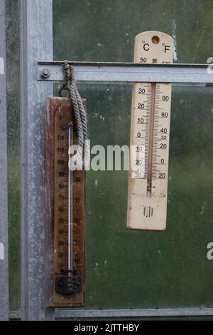 Old Thermometer Hanging on a Dry Tree Trunk Stock Image - Image of  glasshouse, trunk: 238113869