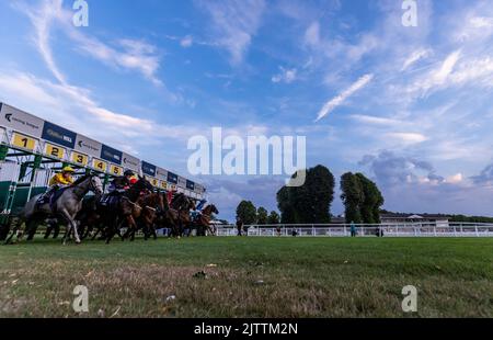 General view of the start of the William Hill Build Your Odds Racing League R28 during the Racing League 2022 Race Week 4 meeting at Royal Windsor Racecourse, Berkshire. Picture date: Thursday September 1, 2022. Stock Photo