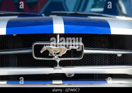 Logo Ford Mustang Stock Photo