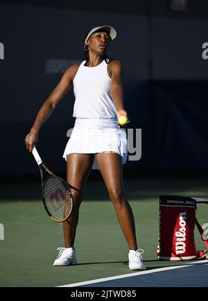 Queens, NY, USA. 01st Sep, 2022. **NO NY NEWSPAPERS** Venus Williams is seen on the practice court during the 2022 US Open at the USTA Billie Jean King National Tennis Center on September 1, 2022 in Flushing, Queens. Credit: Mpi04/Media Punch/Alamy Live News Stock Photo