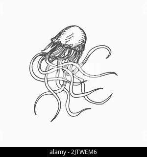 Poison jellyfish with long tentacles isolated marine sea and ocean underwater animal monochrome sketch icon. Vector hand drawn tropical aquatic creature, toxic medusa sea jellies tattoo design element Stock Vector