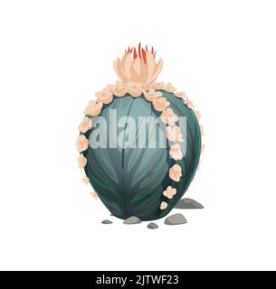 Cartoon cactus with pink flower and stones isolated succulent cactus. Vector desert cacti exotic mexican or jungle plant, sharp thorns, prickly opuntia, wild desert flower, tropics jungle decoration Stock Vector