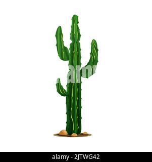 Cartoon prickly succulent, mexican giant cardon or elephant cactus isolated western tropical plant grown in desert. Vector prickly plant tall spiky tree, indians and native americans cacti with thorns Stock Vector