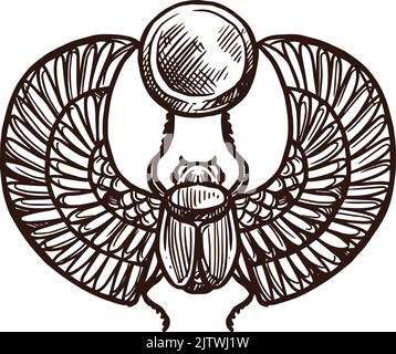 Scarab sketch, Ancient Egypt symbol and pharaoh sacred beetle, vector icon. Ancient Egyptian culture, history and religion amulet, mythology deity of Amun Ra in hand drawn sketch Stock Vector