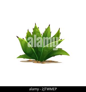 Agave americana sentry plant growing in sand with rocky stones isolated cartoon icon. Vector maguey or American aloe succulent flower tequila drink ingredient. Botanical cacti with spikes exotic agave Stock Vector