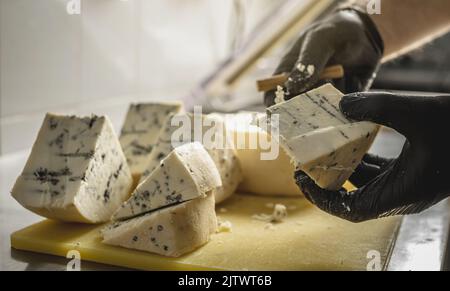 A farmer in black gloves cuts a head of spicy gorgonzola cheese with blue mold with a slicer into pieces. Stock Photo