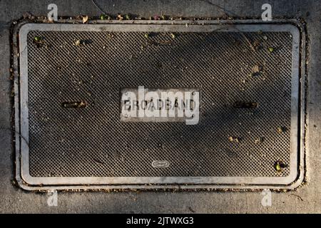 San Leandro, California, USA - November 17, 2021: Late afternoon light shines on a broadband internet utility access panel. Stock Photo