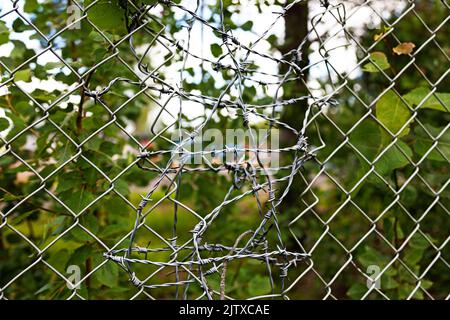 broken fence mended with barbed wire Stock Photo