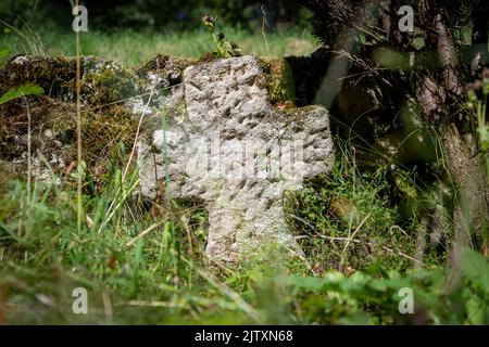Very old single tombstone made of red sandstone overgrown with grass and weeds Stock Photo