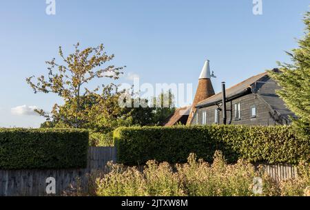 Small English oast, hop house in the kent countryside on a bright sunny evening Stock Photo