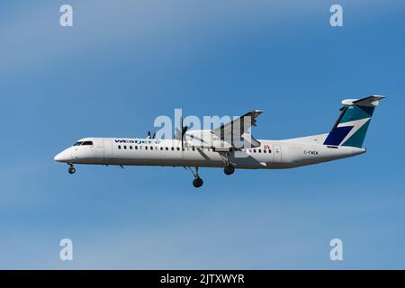 August 29, 2022, Richmond, British Columbia, Canada: A WestJet Encore De Havilland Canada Dash 8-400 turbo-prop airliner (C-FWEW) airborne on final approach for landing at Vancouver International Airport. (Credit Image: © Bayne Stanley/ZUMA Press Wire) Stock Photo