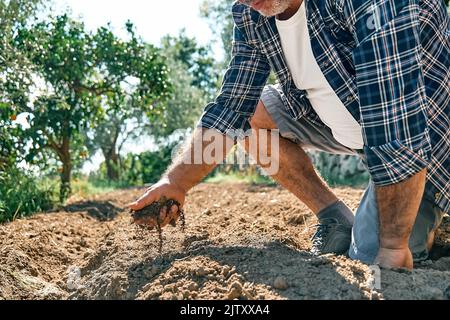 Farmer checking soil health before growth a plant seedling or sowing seeds on the field. Male hands holding fertile soil. Agriculture, organic gardeni Stock Photo