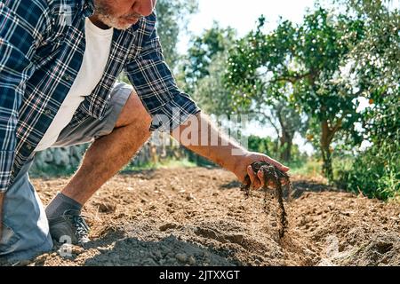 Farmer checking soil health before growth a plant seedling or sowing seeds on the field. Male hands holding fertile soil. Agriculture, organic gardeni Stock Photo