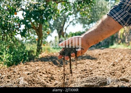 Farmer checking soil health before growth a plant seedling or sowing seeds on the field. Male hands holding fertile soil. Stock Photo