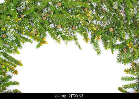 Christmas frame made of snow-covered fir branches with cones. copy space Stock Photo