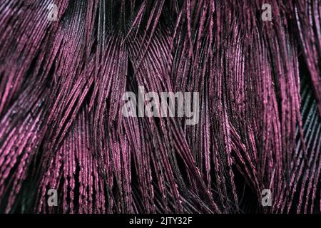 Beautiful dark dusty pink color bird feather closeup abstract lines pattern texture natural background concept, Beautiful color contrast image concept. Stock Photo