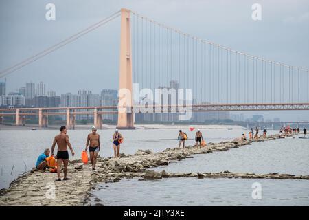 Swimmers walk along a rock road in the middle of the Yangtze River in ...