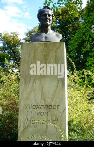 Bust of Alexander von Humboldt, Brandenburg an der Havel, Germany Stock Photo