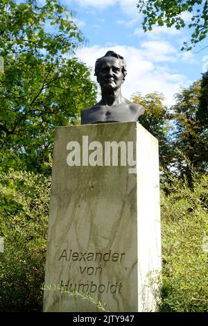 Bust of Alexander von Humboldt, Brandenburg an der Havel, Germany Stock Photo