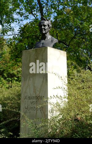 Bust of Alexander von Humboldt, Brandenburg an der Havel, Germany Stock Photo