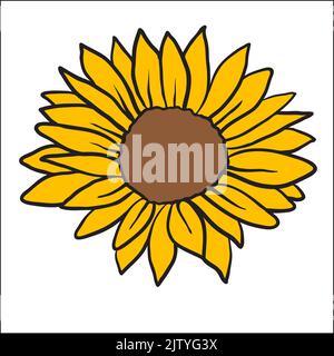 Sunflower. Vector image of hand drawn sunflowers isolated on white background at retro style Stock Vector
