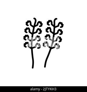 Tuberose olor line icon. Pictogram for web page Stock Vector