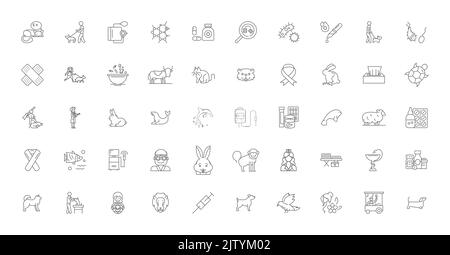 Animal care ideas, linear icons, line signs set, vector collection Stock Vector