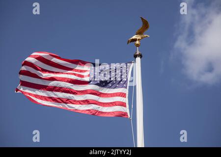 Henri-Chapelle American Cemetery and Memorial, US military cemetery near Welkenraedt, Wallonia, Belgium. Tall pole with Stars and Stripes flag and gol Stock Photo