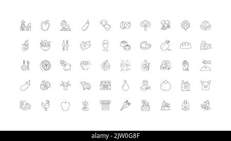Organic food ideas, linear icons, line signs set, vector collection Stock Vector