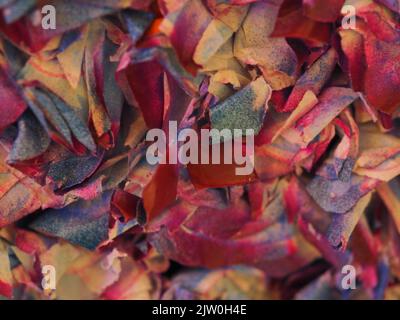 Macro Photography - Paper Art Abstract Stock Photo