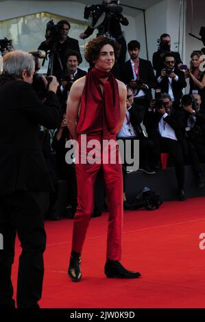 Timothee Chalamet attends the 79th Venice Film Festival 2022. September 2nd Venice. FAMA © Fausto Marci Stock Photo