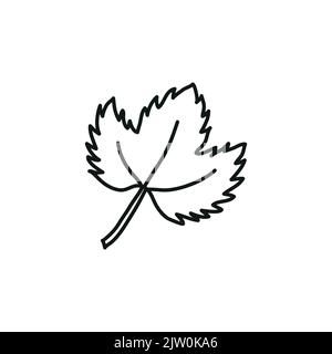 Doodle outline grape leaf isolated on white background. Stock Vector