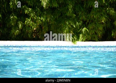 Blurred abstract background with swimming pool as foreground and bamboo forest as backdrop for design your products. Stock Photo