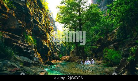 A narrow valley with trees and flowing river. Stock Photo