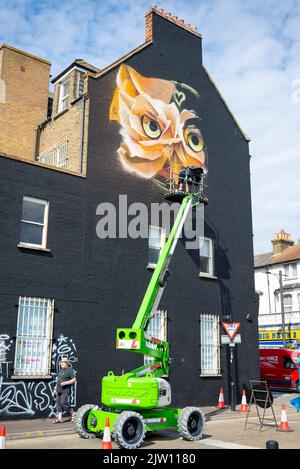 Southend City Jam event. Street artists are displaying their skills at 60 locations around the city centre. Owl being painted by artist at height Stock Photo