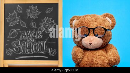 teddy bear in glasses over school chalkboard Stock Photo