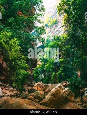 A narrow valley with hanging trees in Wadi Lajab, Saudi Arabia Stock Photo