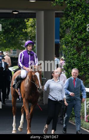 Aidan O'Brien and Ryan Moore after winning the Gold Cup with Kyprios on ...