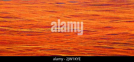 Horizontal background with copy space and Texture closeup - red Stock Photo