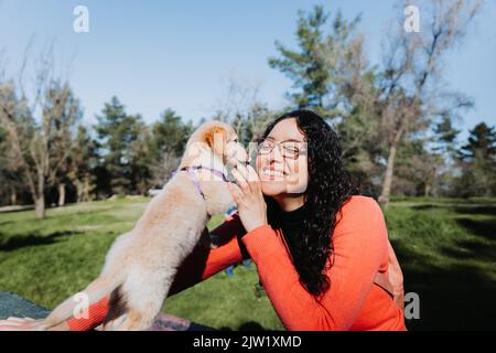 Young curly brunette woman, smiling and playing with a golden retriever puppy in the park.  Stock Photo